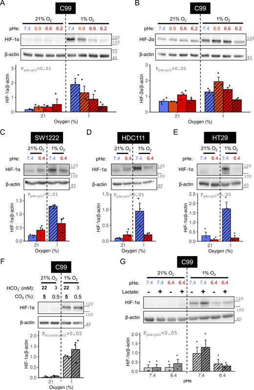 Figure 2. Refer to the image caption for details.