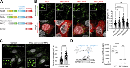 Figure 2. Refer to the image caption for details.