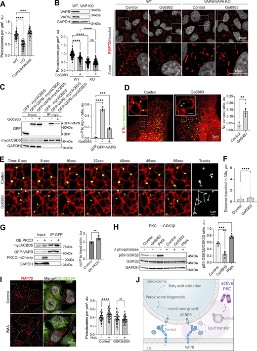 Figure 4. Refer to the image caption for details.