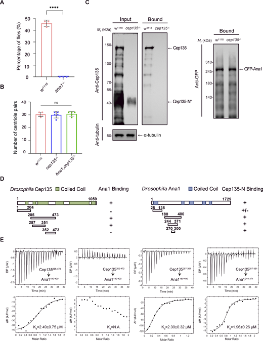 Figure S1. Refer to the image caption for details.