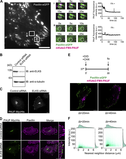 Figure S1. Refer to the image caption for details.