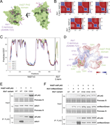 A multi-panel image depicts the interaction between Vid27 and Alx1 proteins.