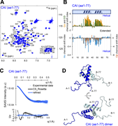 A multi-panel image depicts the structure and properties of the CAI domain.