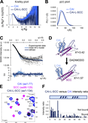 A multi-panel image depicts the interaction between CAI and SCC.