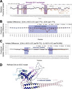 A multi-panel image depicts deuterium uptake and uptake differences in peptides.