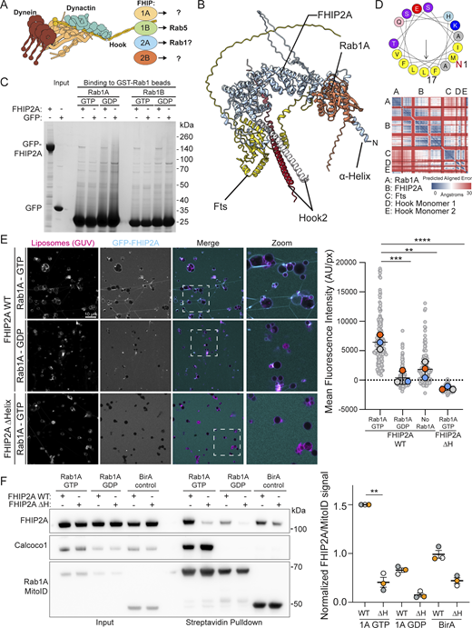 Figure 2. Refer to the image caption for details.