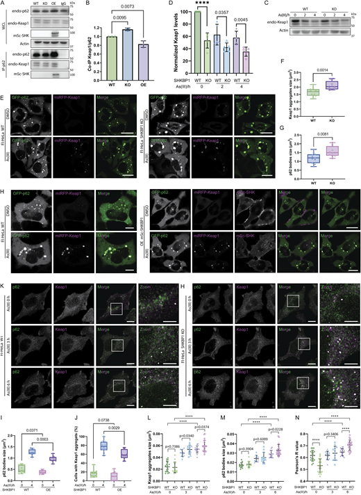 Figure 6. Refer to the image caption for details.