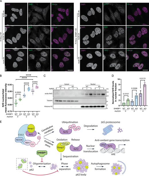 Figure 7. Refer to the image caption for details.