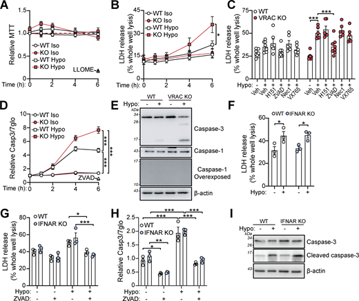 A multi-panel figure depicts cell viability and caspase activity in different conditions.