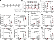 A multi-panel figure depicts macrophage cell volume regulation on inflammatory responses in a mouse model of macrophage activation syndrome.
