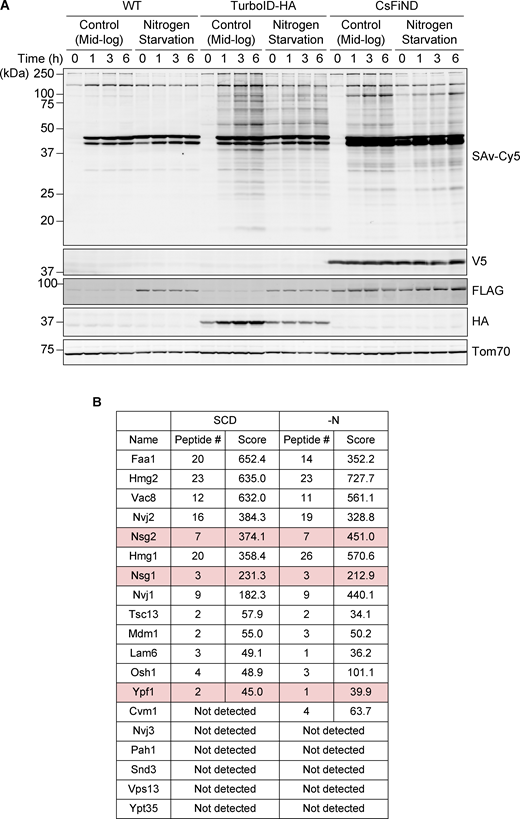Figure S1. Refer to the image caption for details.