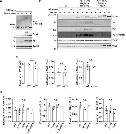 Figure S2. Refer to the image caption for details.