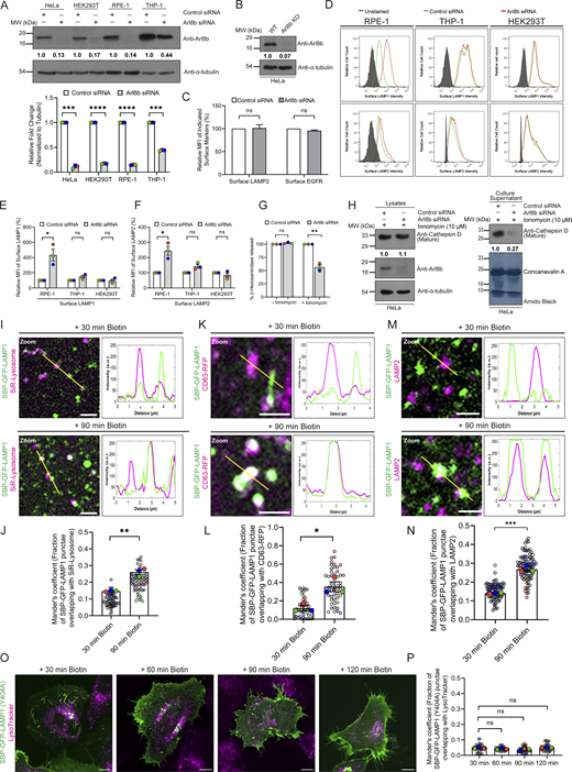 Figure S1. Refer to the image caption for details.
