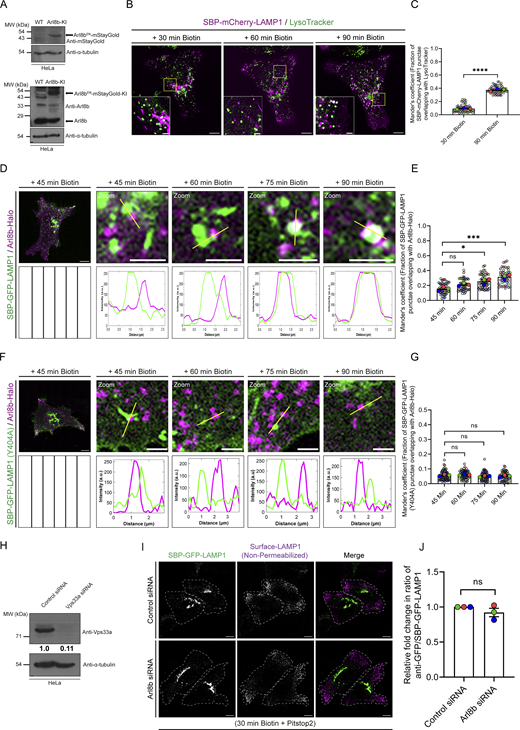 Figure S2. Refer to the image caption for details.