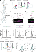 A multi-panel figure depicts centromere separation in fission yeast.