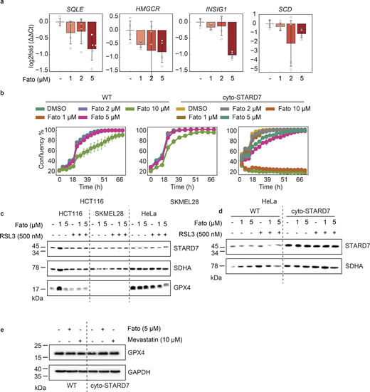 Figure S2. Refer to the image caption for details.