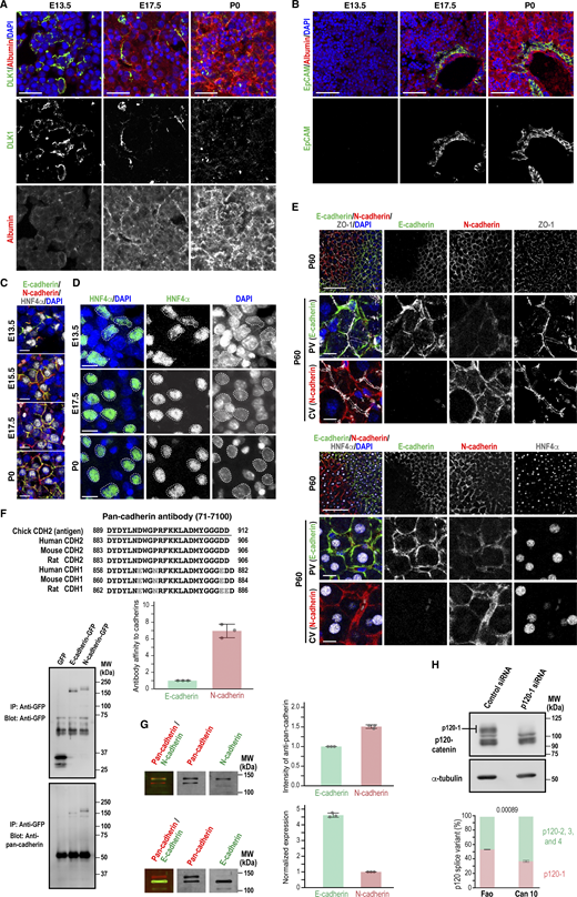 Figure S1. Refer to the image caption for details.