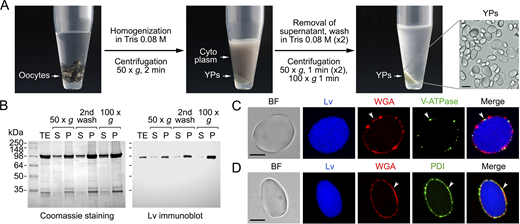 Figure S1. Refer to the image caption for details.