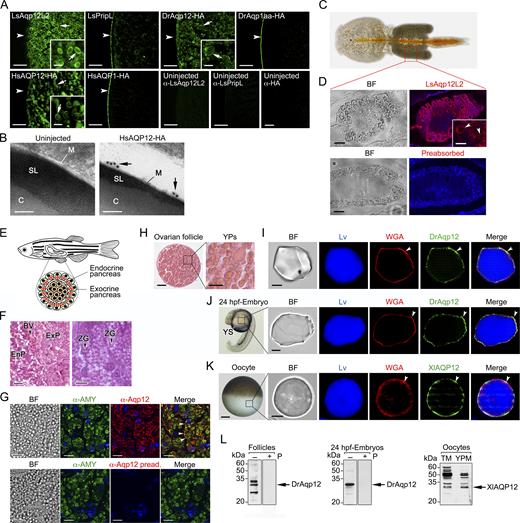 Figure S2. Refer to the image caption for details.