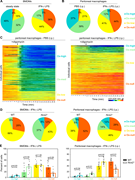 A multi-part image depicts macrophage metabolic profiles under different conditions.