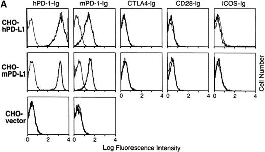 Figure 2. The binding of PD-1 to PD-L1. (A) CHO cells stably transfected with human or murine PD-L1 or vector alone were stained with hPD-1.Ig(γ2a), mPD-1.Ig(γ1), hCTLA-4.Ig(γ2a), hCD28.Ig(γ1), or hICOS.Ig(γ2a) (species matched), and developed with goat anti–murine IgG2a-PE or anti–human IgG-FITC antisera. (B) PD-L1.Ig was tested for binding to immobilized mPD-1.Ig(γ1) (gray bars), hPD-1.Ig(γ1) (black bars), and hCTLA-4.Ig(γ1) (white bars) using surface plasmon resonance on a BIAcore 2000 instrument. Receptor-Fc fusion proteins were immobilized on a CM5 dextran chip by amine coupling with normal human serum/N-ethyl-N′-(dimethylamino)propyl I carbodiimide hydrochloride (EDC) in 10 mM sodium acetate, pH 4.0, as described (reference 27). The amounts of protein immobilized were 5,383 response units (RU) for mPD-1.Ig(γ1), 5,416 RU for hPD-1.Ig(γ1), and 11,493 RU for hCTLA-4.Ig(γ1). Concentrated COS-conditioned medium from hPD-L1.Ig(γ2a)–transfected cells was analyzed with (+) or without (−) coinjection of 100 μg/ml of soluble mPD-1.Ig, hPD-1.Ig, or hCTLA-4.Ig for competition. Binding was quantified as an increase in RU at 60 s after the end of injection compared with a baseline established 20 s before injection.
