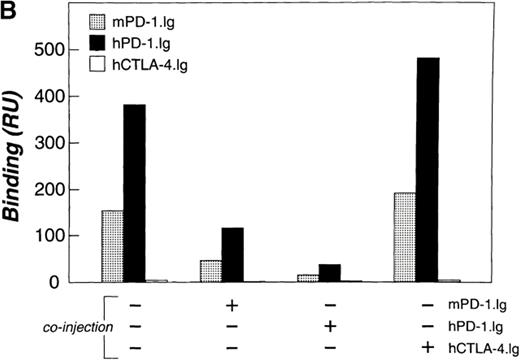 Figure 2. The binding of PD-1 to PD-L1. (A) CHO cells stably transfected with human or murine PD-L1 or vector alone were stained with hPD-1.Ig(γ2a), mPD-1.Ig(γ1), hCTLA-4.Ig(γ2a), hCD28.Ig(γ1), or hICOS.Ig(γ2a) (species matched), and developed with goat anti–murine IgG2a-PE or anti–human IgG-FITC antisera. (B) PD-L1.Ig was tested for binding to immobilized mPD-1.Ig(γ1) (gray bars), hPD-1.Ig(γ1) (black bars), and hCTLA-4.Ig(γ1) (white bars) using surface plasmon resonance on a BIAcore 2000 instrument. Receptor-Fc fusion proteins were immobilized on a CM5 dextran chip by amine coupling with normal human serum/N-ethyl-N′-(dimethylamino)propyl I carbodiimide hydrochloride (EDC) in 10 mM sodium acetate, pH 4.0, as described (reference 27). The amounts of protein immobilized were 5,383 response units (RU) for mPD-1.Ig(γ1), 5,416 RU for hPD-1.Ig(γ1), and 11,493 RU for hCTLA-4.Ig(γ1). Concentrated COS-conditioned medium from hPD-L1.Ig(γ2a)–transfected cells was analyzed with (+) or without (−) coinjection of 100 μg/ml of soluble mPD-1.Ig, hPD-1.Ig, or hCTLA-4.Ig for competition. Binding was quantified as an increase in RU at 60 s after the end of injection compared with a baseline established 20 s before injection.