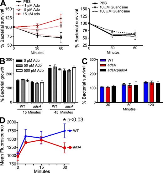 Figure 5. Immunosuppressive effects of adenosine contribute to S. aureus survival in blood. (A) Survival of adsA S. aureus Newman in mouse blood in the presence of increasing concentrations of adenosine (left) or guanosine (right) as indicated. Extracellular adenosine concentration was quantified by RP-HPLC immediately before enumerating bacterial CFUs, as described in Fig. S3. Data are representative of two independent analyses conducted in duplicate (left) and are representative of five independent analyses (right); error bars represent the SEM. (B) Growth of wild-type and adsA S. aureus Newman in laboratory growth media with 0–500 µM adenosine (Ado) for 15 and 45 min. Data are means of two independent analyses conducted in triplicate. Error bars represent the SEM. (C) Survival of wild-type, adsA, or adsA:padsA S. aureus Newman in human plasma. Data are averaged of two independent analyses conducted in triplicate; error bars indicate SEM. (D) The adsA gene is required for staphylococcal escape from neutrophil killing. Mouse blood was inoculated with S. aureus Newman expressing GFP, comparing the wild type (WT) and its isogenic adsA variant. At the indicated time points, samples were treated with 10 µg/ml−1 lysostaphin, followed by isolation of neutrophils by FACS using anti-GR1 staining and phagocytosis and survival of staphylococci measured as mean GFP fluorescence. Data are representative of two independent analyses conducted in triplicate; error bars indicate SEM.
