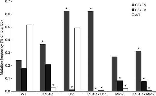 Figure 3. Absolute frequency mutations grouped into G/C transitions, G/C transversions, and A/T mutations. Absolute mutation frequency of A/T mutations, G/C transitions (TS), and G/C transversions (TV). Values are expressed as the percentage of total sequenced base pairs from mutated clones. The contribution of single nucleotide substitutions is revealed in Fig. S2. Asterisks indicate significant changes compared with WT (χ2 test; all significant changes had a p-value <10−5, and nonsignificant changes had a p-value >0.1). The number of mice analyzed is indicated in Table I.