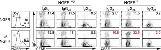 Figure 3. Ikaros regulates CSR in mature B cells. CFSE-stained B220+ WT B cells were activated for 24 h with LPS to induce CSR, infected with retroviruses encoding the NGFR reporter alone or with the dominant-negative Ik6 isoform (Ik6-NGFR), and stimulated for another 72 h with LPS. Ig and NGFR expression were analyzed by FACS. Numbers represent percentages of NGFR−, NGFR+, or IgG+ cells. The data are representative of four independent experiments (Fig. S5 A provides a statistical analysis).