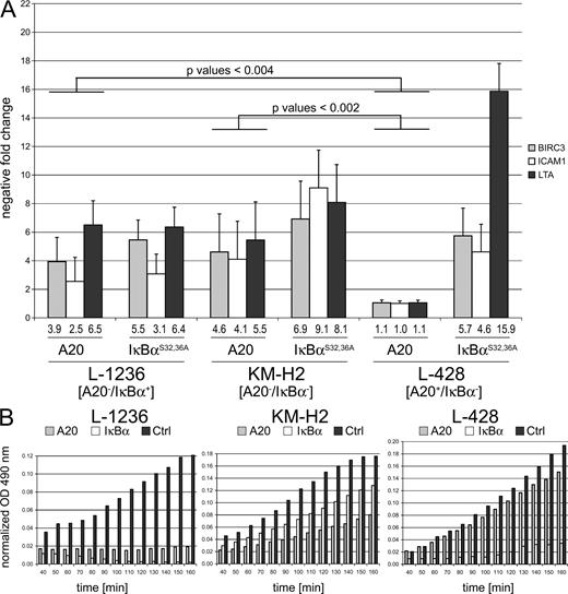 Figure 3. A20 reconstitution in cHL cell lines harboring inactivating TNFAIP3 mutations results in reduction of transcriptional NF-κB activity and reduction of cellular metabolism. cHL cell lines harboring inactive TNFAIP3 (L-1236 and KM-H2) or wild-type TNFAIP3 (L-428) were lentivirally transduced with expression constructs encoding the reporter GFP and either A20, IκBαS32,36A superrepressor or luciferase as control (Ctrl). (A) GFP+ cells were analyzed by qPCR for expression of representative NF-κB target genes (BIRC3, ICAM1, and LTA). Reduction of NF-κB target gene expression upon TNFAIP3 or IκBαS32,36A gene transfer was determined by subtraction of ΔCts of luciferase-expressing cells, respectively (ΔΔCt method). Bars represent mean values of down-regulation resulting from at least three independent infections that were each analyzed in several independent replicates. p-values were calculated per gene using the Wilcoxon rank-sum test to determine the level of significance between negative regulation of NF-κB target genes in L-1236 and KM-H2 cells in comparison to L-428 cells in response to A20 expression. (B) GFP+ cells were FACS sorted, cultured for 48 h, and analyzed by MTS assay for metabolic activity. Mean OD values, reflecting conversion of MTS into a formazan product, are normalized to the empty medium control. The quantity of formazan product as measured by the amount of 490-nm absorbance is directly proportional to the number of living cells in culture. The experiments were performed in duplicates (Fig. S5). Each value is based on four measurements.