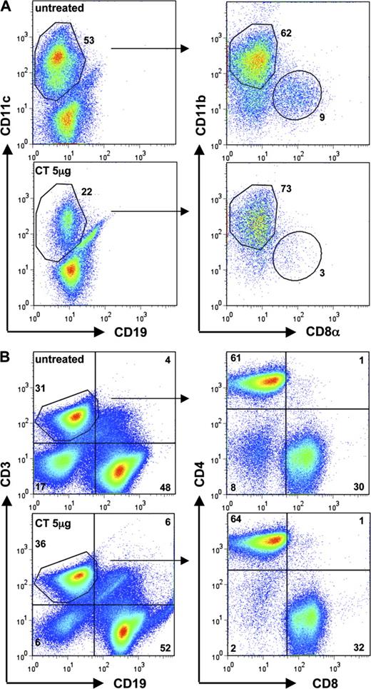 Figure 2. CT administration induces preferential loss of splenic CD8α+ cDCs without affecting other lymphocyte compartments in vivo. Spleen cells were isolated from BALB/c mice 48 h after i.p. CT injection and analyzed by flow cytometry. (A) MACS-enriched CD11c+ spleen cells. CD8α+ cDCs were defined as CD11c+CD19−CD8α+. (B) Effect of CT on T cell (CD4+ and CD8+) and B cell (CD19+) populations. Data shown are representative of five experiments showing similar effects (Fig. S2).