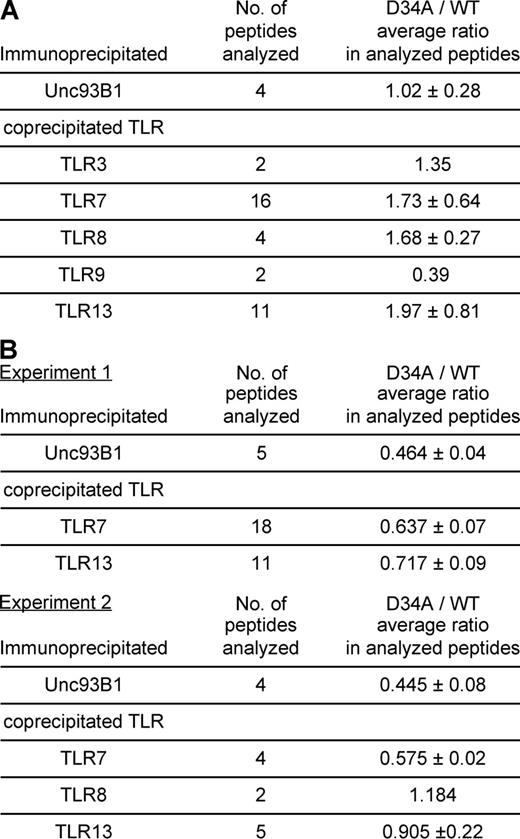 Figure 6. D34A mutation up-regulates Unc93B1 association with TLR7/8/13. (A and B) D34A or WT Unc93B1-GFP was expressed in BM-DCs from 3d mice. Unc93B1-GFP was immunoprecipitated by anti-GFP mAb, and precipitates were analyzed on LC-MS/MS analyses. (A) For label-free semiquantitative analysis, the XIC values of each peptide from Unc93B1 and TLR3, 7, 8, 9, and 13 were calculated directly by the MSQuant program. Immunoprecipitated peptides from TLR3, 7, 8, 9, and 13 associated with D34A or WT Unc93B1 in BM-DCs were compared by dividing the value from D34A by that from WT in each peptide. The number of analyzed peptides and the mean ratio are shown. Detailed results are shown in Table S1. The experiments were repeated twice and similar results were obtained. (B) For SILAC experiments, BM-DCs expressing WT or D34A Unc93B1-GFP were cultured in the presence of normal lysine and arginine or the heavy isotopic forms of these aa (experiment 1), or of arginine or the heavy isotopic form of arginine (experiment 2), respectively. The XIC values of each peptide from Unc93B1 and TLR7 and 9 were calculated using the MSQuant program. The ratios represent the relative abundance of the heavy to the light peptide, indicating the binding ratio (D34/WT). The number of analyzed peptides, the mean ratio, and the SD are shown. Detailed information for each peptides is shown in Table S2. These experiments were repeated twice and all of the data are shown.