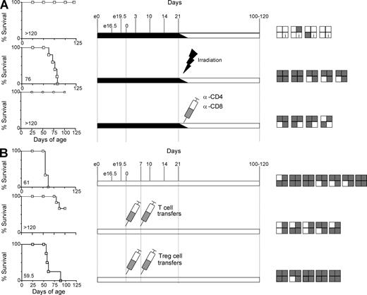 Figure 4. Aire is required to prevent autoimmunity during lymphopenia. Survival curve analysis (left) and histopathology (right) in supplemented Aire-deficient mice (WT, KO, and additional control mice were included in each experiment and are not shown here for clarity but are explained in detail in Figs. S1–S3). (A) iAON(e0-D21) mice were otherwise untreated (top), lethally irradiated and bone marrow reconstituted (middle), or anti-CD4/CD8 treated at 3 wk of age (bottom) for a 2-wk period. Irradiated/reconstituted iAON(e0-D21) versus KO (P = NS) or WT (P = 0.0024) was calculated by Kaplan-Meier survival analysis. (B) Aire−/− mice were untreated (top; n = 6), received 10 × 106 T cell–enriched peripheral LN and spleen cells (middle; n = 5), or received 3 × 105 T reg cells (bottom; n = 5) on days 1 and 7. T cell–supplemented KO mice versus KO (P = 0.005; Kaplan-Meier) or versus WT (NS) and T reg cell–supplemented KO mice versus KO (NS) or versus WT (P = 0.0001) were compared. Experimental and histopathology diagrams are as in Fig. 3. All results in A and B are representative of two or more independent experiments.