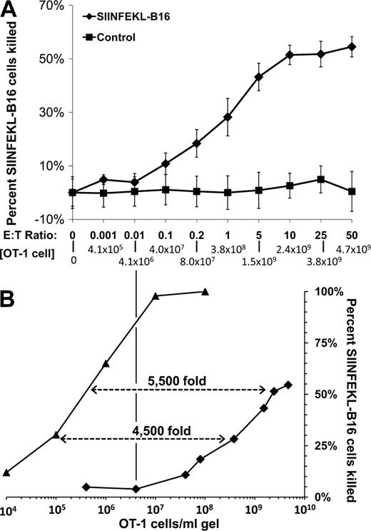 Figure 4. OT-1 cell concentration determines the efficiency of killing of SIINFEKL peptide–pulsed B16 cells in packed cell pellet–type assays. (A) 104 SIINFEKL-pulsed (♦) or nonpulsed (■) B16 cells were mixed with 10–5 × 105 activated OT-1 cells in 200 µl OT-1 medium in round-bottom wells of a 96-well plate. Plates were centrifuged at 50 g for 5 min to pellet the cells and incubated at 37°C for 4 h. Cells in each well were dissociated with trypsin-EDTA, and their viability was measured by clonogenic assay. Data shown represent mean ± SEM of n = 3 experiments performed in duplicate. (B) Efficiency of OT-1 cell killing of SIINFEKL-B16 cells in collagen-fibrin gels (▴) versus packed pellet–type assays (♦). Data for collagen-fibrin gels were obtained from Table S1. Data for packed pellet–type assays were obtained from A.