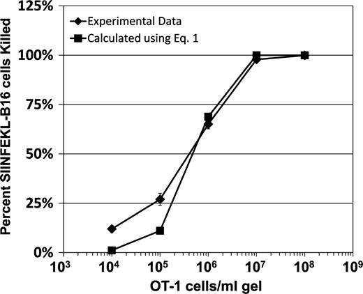 Figure 6. Comparison of experimentally derived versus calculated values for OT-1 cell killing of SIINFEKL-B16 cells in collagen-fibrin gels. Experimental data ±SEM are from Fig. 2 and Table S1. Calculated values were determined using Eq. 1 (Li et al., 2004), and k = 8.1 × 10−10 ml/OT-1 cell/min. Pearson’s correlation between experimental and calculated values = 0.994 (P = 0.00048).