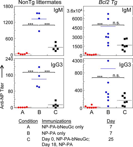 Figure 7. In vivo analysis of the effect of B cell–enforced Bcl2 expression on tolerance induction with NP–PA–bNeuGc. Bcl2 Tg or nontransgenic littermates were challenged with NP–PA–bNeuGc on day 0, followed by rechallenge with NP–PA on day 17. Shown are IgM and IgG3 antibody titers of sera obtained at day 7 after primary or secondary challenge. Transgenic and nontransgenic littermates were immunized and sera were taken in three independent, noncontemporaneous immunization experiments; these sera were analyzed together by ELISA. Note that one Bcl2 Tg mouse had an extremely high titer that is given on a different scale than the other data points. No statistically significant differences were seen between Bcl2 Tg and nontransgenic littermate responses to NP–PA only (Fig. S5). ***, P < 0.005 using the two-tailed Student’s t test. n.s., not significant.