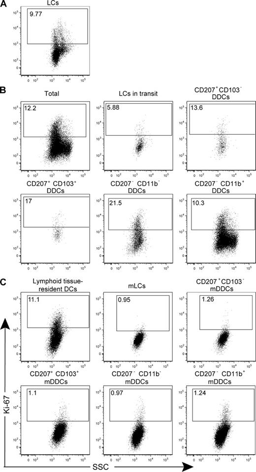 Figure 4. The five skin DC subsets proliferate before their migration to LNs. (A–C) The five skin DC subsets (A and B) and their migratory counterparts found in the CLNs (C) were identified using B6 (CD45.1)→B6 (CD45.2) chimeras, as specified in Figs. 1 and 3, and analyzed for Ki-67 expression. Lymphoid tissue–resident DCs were defined on the basis of their CD11chigh MHCIIinter phenotype (Fig. S3). Positioning of the Ki-67+ gate is based on staining with isotype control antibody (Fig. S4). Data shown are representative of three independent experiments.
