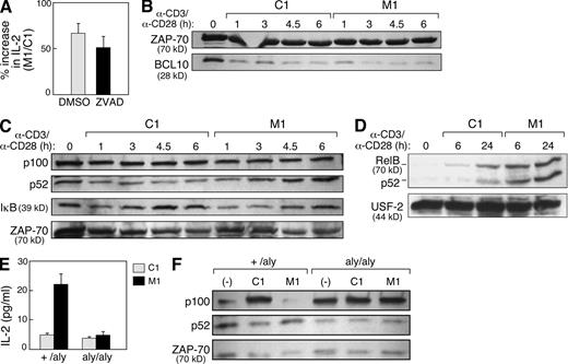 Figure 4. IAP antagonists enhance T cell activation through the induction of alternative NF-κB signaling. (A–F) Mouse CD4+ T cells were isolated as in Fig. 1 or as indicated and stimulated with 10 µg/ml anti-CD3 and 2 µg/ml anti-CD28 in the presence of M1 or control compound at 500 nM. (A) CD4+ T cells were isolated and stimulated in the presence of the caspase inhibitor ZVAD-fmk or vehicle (DMSO). Data are presented as the ratio of IL-2 production measured in culture supernatants from M1-treated cells compared with control treatment. (B) Immunoblot for BCL10 in total cell lysates from stimulated CD4+ T cells. Lysates are identical to those depicted in Fig. 1 B. (C and D) Immunoblots using the indicated antibodies on total cell lysates (C) or purified nuclear lysates (D) from stimulated CD4+ T cells. (E) 105 naive T cells isolated from +/aly or aly/aly mouse spleens as depicted in Fig. S6 and stimulated in the presence of M1 or control compound. IL-2 was measured by ELISA. (A and E) Error bars represent SEM. (F) Immunoblots using the indicated antibodies on cell lysates from total +/aly or aly/aly CD4+ T cells isolated using magnetic beads and immediately lysed (−) or lysed after 24 h of stimulation (C1 and M1). (A–F) Results represent at least two independent experiments.