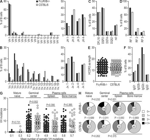 Figure 1. Ig gene analysis of mature naive B cell, GC B cell, and plasma cell antibodies from wild-type and FcγRIIB−/− mice. Data shown summarize the IgH and Igκ gene sequence analysis of 717 antibodies from single IgM+ mature naive B cells and IgG+ GC B cells and spleen and bone marrow plasma cells of six FcγRIIB−/− mice (black; Table S2, 1RII–3RII and 5RII–7RII) and three wild-type mice (white; Table S3, 1B6–3B6). (A) IgH V gene family and J gene usage. (B) Igκ V gene family and J gene usage. (C and D) Ig DH gene (C) and Ig DH gene RF (D) usage. (E) IgH CDR3 amino acid length. Horizontal lines indicate the mean IgH CDR3 amino acid length. (F) IgG1, IgG2c, IgG2b, and IgG3 isotype subclass distribution. (G) Number of somatic mutations in individual IgH V genes from FWR1 to FWR3, inclusively, of IgM+ mature naive B cells, IgG+ GC B cells, and IgG+ spleen and bone marrow plasma cells of FcγRIIB−/− (filled circles) and wild-type (open circles) mice. Horizontal lines indicate the mean number of somatic mutations. (H) Frequency of IgH CDR3s with zero (white), one (light gray), two (dark gray), or three and greater than three (black) positive charges in IgM+ mature naive B cells, IgG+ GC B cells, and IgG+ spleen and bone marrow plasma cells from FcγRIIB−/− and wild-type mice. The numbers of IgH sequences analyzed are indicated in the pie chart centers. P-values were calculated by Fisher’s exact 2 × 5 test for DH gene and DH gene RF usage and IgG subclass distribution or Student’s t test for IgH CDR3 amino acid length and somatic mutations but did not show significant differences between FcγRIIB−/− and wild-type mice (A–G). P-values for the analysis of IgH CDR3-positive charges in H were calculated by Fisher’s exact 2 × 5 test and are indicated for the comparison of GC B cells to mature naive B cells and pooled spleen and bone marrow plasma cells from FcγRIIB−/− (top) and C57BL/6 mice (bottom), respectively, and for the comparison of mature naive B cells, GC B cells, spleen plasma cells, and bone marrow plasma cells between FcγRIIB−/− and C57BL/6 mice (center).