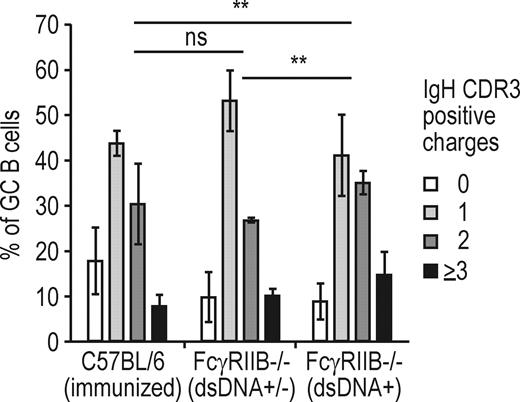 Figure 2. Increased frequency of GC B cells with positively charged IgH CDR3 are associated with lupus disease in FcγRIIB−/− mice. Bar graphs compare the frequency of IgH CDR3s with zero (white), one (light gray), two (dark gray), or greater than or equal to three (black) positive charges in 237 IgG+ GC B cells from six FcγRIIB−/− mice (1RII–3RII and 5RII–7RII; Table S1) with overt lupus disease, as measured by high anti-dsDNA IgG serum levels (dsDNA+) to IgG+ GC B cells from three FcγRIIB−/− mice (4RII, 8RII, and 9RII) with low or negative anti-dsDNA serum IgGs (dsDNA+/−; n = 97; Table S1) and to IgG+ GC B cells from three wild-type mice at days 10, 14, and 21 after immunization with OVA in CFA (n = 174; Table S1). Error bars indicate standard deviation of means. GC B cells with positively charged IgH CDR3 were significantly enriched in FcγRIIB−/−dsDNA+ mice as compared with FcγRIIB−/−dsDNA+/− mice (P = 0.008) and to immunized wild-type mice (P = 0.007). GC B cells from FcγRIIB−/−dsDNA+/− mice were not significantly different from immunized wild-type mice (P = 0.109). P-values were calculated by Fisher’s exact 2 × 5 test.