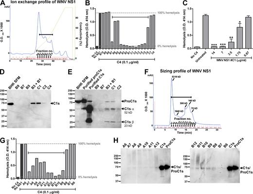 Figure 6. C1s/proC1s copurifies with NS1. (A) Two-step purification of WNV NS1. Immunoaffinity-purified WNV NS1 was passed over an ion-exchange column, and NS1 was eluted with a linear NaCl gradient (diagonal line). Silver stain and Western blot of each fraction were performed (Fig. S5 and not depicted). All fractions were tested for C4 inhibitory activity in a single-step hemolysis assay (B). C4 (0.1 µg/ml) was preincubated with an individual concentrated fraction (25 µl) before the addition of EA- and C4-deficient GPS (1:160). Fractions with C4 inhibitory activity are bracketed (A and B). (C) WNV NS1 fraction #C1 from ion exchange chromatography was twofold serially diluted and subjected to a single-step C4 hemolysis assay. (D and E) Western blot analysis for C1s/proC1s from ion exchange fractions shown in A. (D) Nonreduced SDS-PAGE. Lane 1, 100-fold concentrated serum-free culture supernatants (SFM) of BHK cells; lanes 2–7, 10-fold concentrated purified WNV NS1 fractions after ion-exchange chromatography. The proteins were separated on a 4–12% gradient nonreduced SDS-PAGE, transferred, and probed with a goat anti–human C1s serum. The anti–human C1s Ab cross-reacts with hamster C1s. (E) SDS-PAGE, reducing conditions. Lane 1, 100-fold concentrated SFM of BHK cells; lanes 2 and 3, purified human C1s (huC1s) and human proC1s (huProC1s; 10 ng); lanes 4–8, 10-fold concentrated purified WNV NS1 fractions after ion-exchange chromatography. (F) Size exclusion chromatography profile of affinity-purified WNV NS1. Molecular sizes of indicated fractions were calculated from a set of protein standards loaded on the same column. (G) Size exclusion chromatography fractions were collected, concentrated 10-fold, and subjected to a single-step hemolysis assay as described in B, as well as a nonreduced SDS-PAGE and Western blot with anti–human C1s Ab (H). Brackets denote the fractions that inhibit C4-dependent hemolysis (F and G). Results are representative of two or three independent experiments.