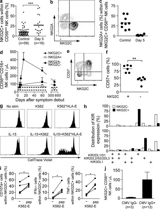 Figure 4. Expansion of NKG2C+ NK cells. (a) Frequency of NKG2C+ cells within the CD56dim NK cell population on day 5 after onset of symptoms in hantavirus-infected patients compared with noninfected controls (n = 16 infected, 59 uninfected; ***, P < 0.0001, unpaired Student’s t test; mean). (b) Representative example of costaining for NKG2A and NKG2C on CD56dim NK cells in hantavirus-infected patient at day 5 after onset of symptoms. (c) Co-expression of NKG2C and NKG2A evaluated at day 5 in infected (n = 6) and uninfected control (n = 9) individuals (horizontal bars represent mean). (d) Numbers of NKG2C+, NKG2A+, and NKG2C−NKG2A− CD56dimCD16+ NK cells evaluated longitudinally from day 5 until day 450 after onset of symptoms in infected patients (n = 6; mean ± SEM). Dashed lines represent the upper and lower SEM intervals for mean of NKG2C+ NK cell numbers in control individuals (n = 26). (e) Representative example of costaining for NKG2C and CD57 on CD56dim NK cells in one hantavirus-infected patient at day 60 after onset of symptoms. (f) Expression of CD57 evaluated at day 60 after symptom debut (n = 6) in NKG2C+ and NKG2C− CD56dim NK cells (**, P = 0.0022, Mann-Whitney test; mean). (g) Proliferation of NKG2C+ NK cells after stimulation with IL-15 and/or target cells measured by dilution of CellTrace violet. Purified NK cells were incubated for 7 d with or without irradiated K562 cells or K562*HLA-E cells, and in the absence (top) or presence (bottom) of IL-15. One representative experiment out of two is shown. (h) Expression pattern of the three major KIRs on NKG2C+ and NKG2C− NK cells. In one representative donor, a majority of the NKG2C+ NK cells were single positive for KIR2DL1/S1 (top), whereas the second representative donor shows a selective expression of KIR2DL2/S2/2DL3 (bottom) in the NKG2C+ population (see Fig. S4 for separation between activation and inhibitory KIRs). Two representative donors out of five analyzed are shown. (i) Degranulation and cytokine production responses quantified in NKG2C+ CD56dim NK cells from patients in the convalescent phase of infection after triggering with K562-E cells with or without addition of an HLA-E stabilizing peptide (n = 5; *, P < 0.05, Mann-Whitney test). (j) Absolute numbers of NKG2C+ CD56dim NK cells in CMV IgG− and IgG+ infected individuals at day 5 (mean ± SEM).