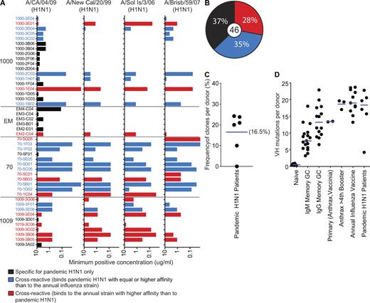 Figure 2. Plasmablasts induced by pandemic H1N1 infection are highly cross-reactive and have accumulated particularly high levels of variable gene somatic hypermutation. (A and B) Pandemic H1N1 reactive mAbs isolated from infected patients (1000, EM, 70, 1009) were assayed for binding to annual H1N1 influenza strain whole virus. The minimum detectable concentration is defined as two standard deviations above the mean binding of 48 randomly chosen naive B cell antibodies (Fig. S1 A). Bars are color coded to approximate levels of cross-reactivity to the annual vaccine (circulating) strains of recent years. Panels A and B use the same color scheme. Each value is representative of at least two replicate ELISAs repeated until a single consistent minimum concentration was established. The center numeral equals total antibodies. (C) Analysis of the variable gene sequences from plasmablasts of the four pandemic H1N1-infected patients indicated that ∼16.5% of the pandemic H1N1-induced plasmablasts were clonally related (shared identical VH and JH genes and CDR3 junctions). (D) The average number of somatic hypermutations in the pandemic H1N1 patient plasmablast variable region genes compared with primary IgG plasmablast responses to vaccinia (small pox) or the anthrax vaccine, or after at least 4 boosters with the anthrax vaccine. To account for the obvious outlier in the pandemic H1N1 group (patient-EM), median values are indicated by the bar. Student’s t tests excluding the outlier indicated a p-value of <0.04 for the remaining five pandemic H1N1 samples compared with the IgG memory and germinal center (GC) cells or the primary IgG plasmablast responses (0.2 with EM included) and a p-value of <0.0001 against the IgM populations. Notably, besides patient EM, each individual set of VH genes averaged significantly more mutations than the IgG memory and GC or the primary responses (Fig. S3 A). Each point represents one individual donor and is averaged from 25–75 sequences, except for the primary response to anthrax from which only 10 VH genes could be cloned from single cells because of the highly limited response. Mutations accumulated per individual sequence are depicted in Fig. S3. Detailed sequence characteristics are provided in Tables S1–S3. The naive, IgG and IgM GC and memory populations are derived from historical data (Zheng et al., 2004, Zheng et al., 2005; Koelsch et al., 2007; Wrammert et al., 2008).