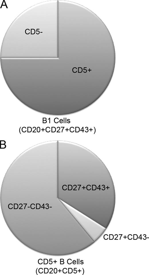 Figure 6. CD20+CD5+ B cells are not the same as CD20+CD27+CD43+ B1 cells. Adult peripheral blood mononuclear cells were immunofluorescently stained with specific antibodies. The proportion of CD20+CD27+CD43+ B1 cells that express CD5 (75 ± 2.5%; n = 46) is shown in A; the proportions of CD20+CD5+ B cells that phenotype as CD20+CD27+CD43+ (34 ± 3.0%; n = 46), CD20+CD27+CD43− (4.8 ± 0.41%), and CD20+CD27−CD43− (61 ± 3.1%) are shown in B. Representative flow cytometry data are shown in Fig. S2.