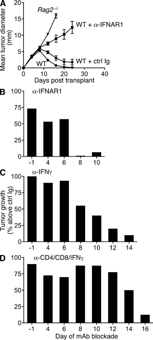 Figure 1. Early requirement for IFN-α/β during rejection of highly immunogenic tumor cells. (A) Untreated WT and Rag2−/− mice or WT mice injected i.p. with either IFNAR1-specific MAR1-5A3 mAb or isotype control GIR-208 mAb 1 d prior were s.c. injected with 106 H31m1 tumor cells, and tumor size was measured over time. Data represent mean tumor diameter ± SEM of 12–16 mice per group from at least three independent experiments. (B–D) WT mice were injected with 106 H31m1 cells (at day 0) and treated beginning on the indicated day with MAR1-5A3 (B), IFN-γ–specific H22 mAb (C), or a mixture of anti-CD4/anti-CD8/anti–IFN-γ mAbs GK1.5/YTS-169.4/H22 (D), and tumor growth was monitored. For each time point, groups of mice were treated in parallel with the respective isotype-matched control mAb, and the data are presented as percent tumor growth over the control group. Results are from two to four experiments with 14–20 (ctrl/MAR1-5A3), 10–20 (ctrl/H22), or 6–11 (ctrl/cocktail) WT mice per group. The kinetics of tumor growth in individual mice is shown in Fig. S1.