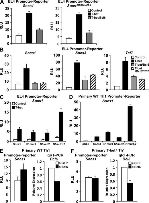 Figure 4. Bcl-6–dependent repression of Socs1, Socs3, and Tcf7 is independent of Bcl-6 DNA binding. (A) The Socs1Bcl6mut1,2 or WT promoter-reporter constructs were cotransfected with an empty expression vector (control), T-bet, or T-bet and Bcl-6. (See Fig. S3 for precise location of the Bcl-6 binding site mutations in the Socs1Bcl6mut1,2 construct.) (B) EL4 T cells were transfected with the indicated pGL3 promoter construct and an empty vector control, T-bet, T-bet and Bcl-6, or T-bet and the Bcl-6 DNA-binding mutant (Bcl6DBmut). (C) The indicated Socs1 point mutants (in T-bet binding sites) or WT promoter-reporter constructs were cotransfected with either an empty expression vector (control) or one expressing T-bet. (A–C) The samples were stimulated with P/I, and the reporter activity was measured and normalized to the activity of a renilla control. (D) The indicated Socs1 point mutant (in T-bet binding sites) or WT promoter-reporter constructs were transfected into primary WT Th1 cells. After overnight incubation, reporter activity was measured and normalized to a renilla control. (E and F) Primary WT (E) or T-bet−/− (F) Th1 cells were transfected with the Socs1 promoter-reporter and either a control siRNA (siGFP) or one specific to Bcl-6 (siBcl6). Luciferase promoter-reporter values were normalized to the renilla control. RNA was isolated from the primary Th1 cells, and Bcl6 transcript levels were analyzed by quantitative RT-PCR. Results were normalized to the values obtained for Actb and are expressed as a ratio relative to the control sample. (A–F) Data represent the mean of three (A and D) or four (B, C, E, and F) independent experiments (error bars indicate SEM). RLU, relative light units.