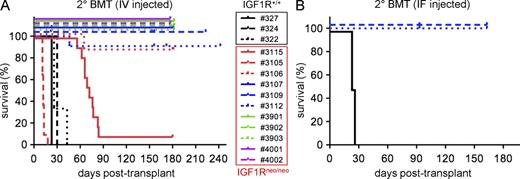 Figure 4. Mouse T cell leukemias with reduced IGF1R expression are defective in serial transplantation. Survival of mice transplanted with primary mouse ΔE leukemia cells from either IGF1R+/+ or IGF1Rneo/neo backgrounds by i.v. (A) intrafemoral (IF; B) injection route. Each numbered sample represents a different primary leukemia from mice in Fig. 3 B injected into secondary recipients. Raw survival data, including numbers of animals in each cohort, are provided in Table S1. Data depicted are collated from four independent transplantation experiments.
