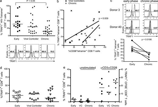 Figure 1. Loss of TRAF1 protein from HIV-specific T cells during chronic HIV infection. Freshly thawed PBMCs from HIV-infected individuals were stained for CD8, CD3, TRAF1, HIV-tetramer, and CD38 (a-d), and flow cytometry data were analyzed with the gating strategy described in Fig. S1. (a) Frequency of TRAF1+ HIV-specific CD8 T cells in recently or chronically infected donors or viral controllers (groups defined in Table S1). (top) Summary of the frequency of TRAF1+ HIV-tetramer+ cells for all donors analyze with each symbol representing a single epitope, with one to two epitopes per donor. Statistical analysis was performed by one-way ANOVA. (bottom) Representative histograms from each group, with shaded panels indicating FMO controls, open histograms indicating TRAF1 staining on CD3+CD8+tetramer+ T cells. Note: some donors showed bimodal staining for TRAF1 on their HIV-specific T cells. (b) Correlation between the frequency of TRAF1+ HIV-specific T cells and the level of activation as measured by the frequency of CD38+ HIV-specific T cells. Both viral controllers and chronic progressors are included in this analysis. Statistical analysis was performed using linear regression (P = 0.009). (c) TRAF1 expression in HIV-specific T cells using longitudinal samples from three donors with five HIV-specific epitopes. (top) Representative TRAF1 staining during early and later time point within the same donor (shown for two donors); (bottom) Summary plot with each donor represented by a different symbol and filled and open symbols distinguishing two epitopes within the same donor. FMO controls are indicated in the shaded histograms. (d) Frequency of TRAF1+ T cells of total CD8 T cells for the three groups of donors. (e) TRAF1 expression in total CD8+CD45RA− T cells before and after activation. Each symbol represents an individual donor. PBMCs were labeled with CFSE and stimulated with 1 µg/ml of anti-CD3 and 10 µg/ml of anti-CD28 for 6 d, and then stained for CD3, CD8, and TRAF1. The frequency of TRAF1+ T cells on the CFSE low (divided) CD8+CD45RA− population is reported for the stimulated cells (right axis). For the unstimulated cells, the frequency of TRAF1+ in the CD8+CD45RA− T cell population is reported (left axis). VC, viral controller.
