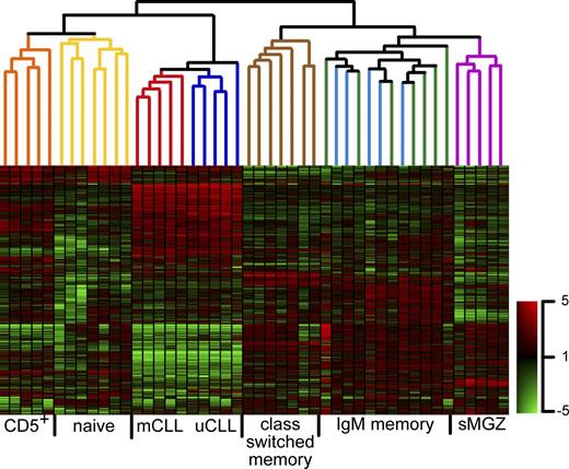 Figure 1. Hierarchical clustering of normal human B cell subsets and CLL. The dendrogram is based on a Spearman ranking of 2000 transcripts with highest SD (Table S1). Subcluster stability was confirmed by bootstrapping procedure (>70%). The color bar depicts normalized intensity values. CD5+, CD5+CD27−CD38low B cells; naive, conventional naive B cells; mCLL, IgV mutated CLL; uCLL, IgV unmutated CLL; class-switched, IgG+CD27+ and IgA+CD27+ B cells; IgM+IgD+ memory, IgM+IgD+CD27+ and IgM-only B cells; sMGZ, splenic marginal zone B cells.