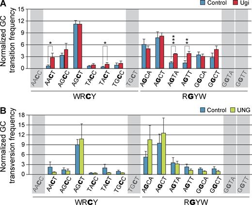 Figure 4. UNG displays sequence preference to promote error-prone or high fidelity repair at AID mutational hotspots. NIH-3T3 cells were co-transduced with mOrangeSTOP- and AID-ER–expressing vectors and Ugi, UNG, or empty vector as control. Transduced cells were cultured in the presence of OHT during 11 d and mOrangeSTOP transgene was PCR amplified and sequenced by NGS. (A) G/C transition frequencies in control (blue bars) and Ugi-expressing (red bars) cells normalized to the mean G/C transition frequency are shown for each of the WRCY and RGYW hotspots in mOrangeSTOP sequence. (B) G/C transversion frequencies in control (blue bars) and UNG-overexpressing (green bars) cells normalized to the mean G/C transversion frequency are represented as in A. Error bars represent the mean values of three independent experiments. Standard deviations are shown. *, P < 0.05; **, P < 0.01; ***, P < 0.001. Shadowed hotspots (AACC, TGCT, GGTA, and GGTT) are not present in the mOrangeSTOP sequence. Complete mutation data are shown in Table S1.